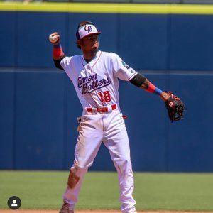 Meet your Posher, Wilber